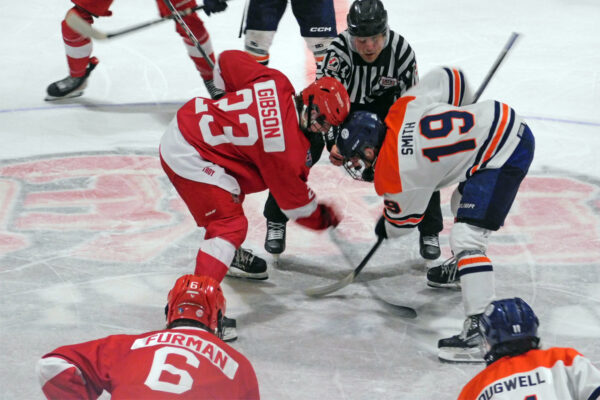 GALLERY: Thunderbirds even series with Beavers